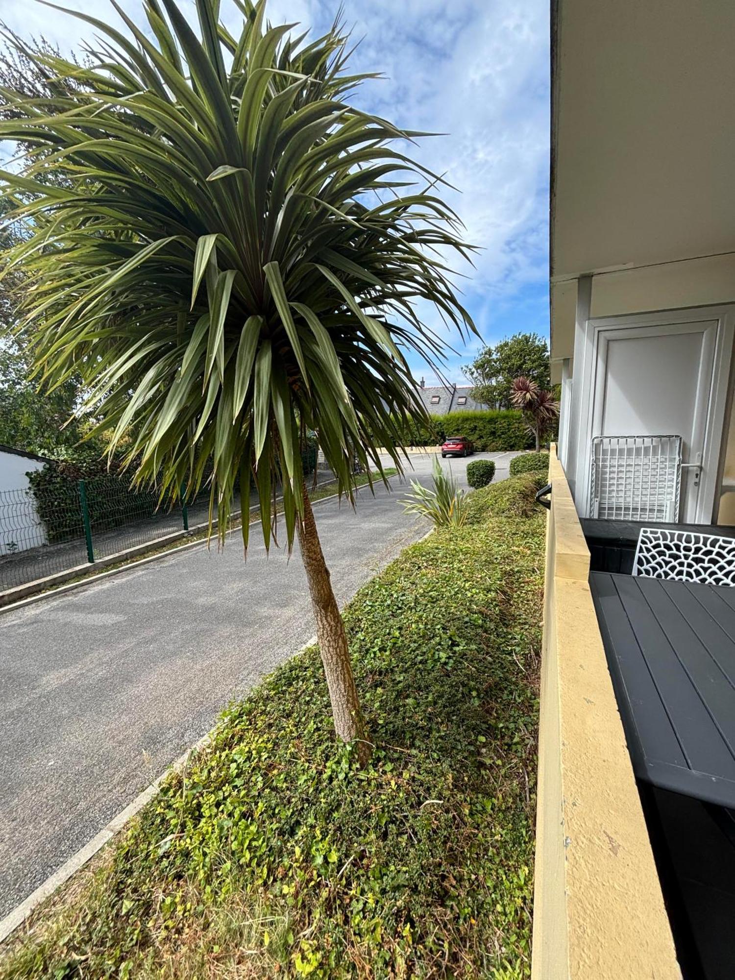 Appartement Studio 4 Personnes Dans Residence Avec Piscine Quiberon Bagian luar foto